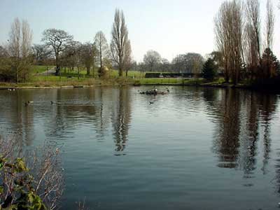 Duck pond, Brockwell Park, Brixton