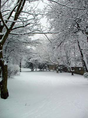 Loughborough Park in the snow, Brixton, Lambeth, south London SW9