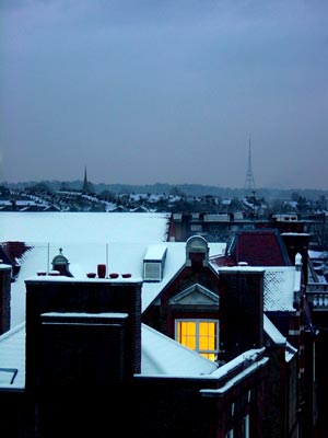 Blue-grey sky, yellow light, snow, Brixton SW9