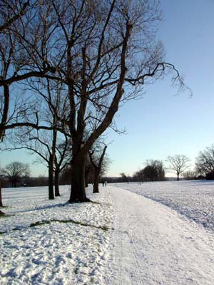 Brockwell Park, snow and blue skies, Herne Hill, London