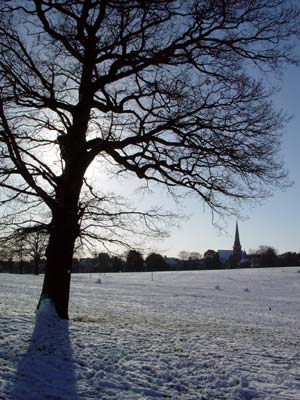 Church spire and winter sun, Brockwell Park, Herne Hill, London