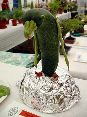 Prize winning courgette penguin, Lambeth Country Fair, Brockwell Park
