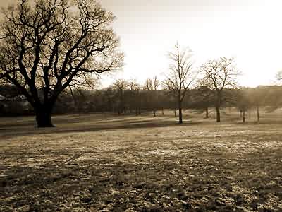 Winter in Brockwell park, London