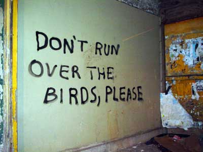 Don't run over the birds please, Electric Lane, Brixton, London