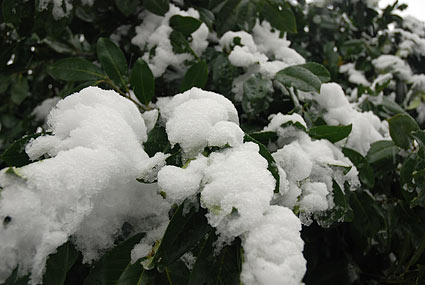Snow scenes around Loughborough Park and Coldharbour Lane, Brixton, Lambeth, London SW9, February 8th 2007