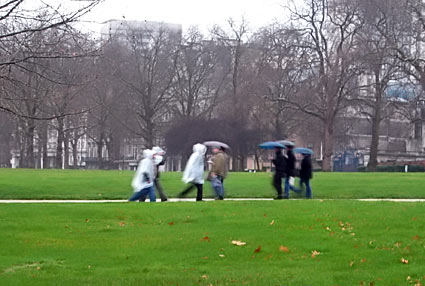 Umbrellas and rain covers, Green Park., A rainy day in central London, January, 2007