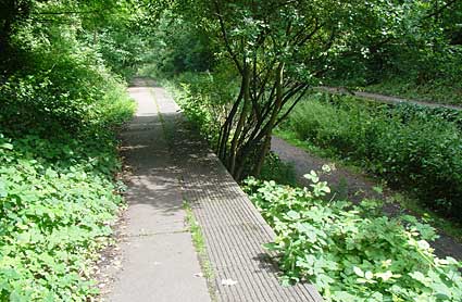 Crouch End station, Walking the Northern Heights, along the route of the Finsbury Park to Highgate to Alexandra Palace railway, Parkland Walk, Haringey, London