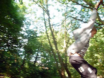 Rope swing, Finsbury Park to Highgate to Alexandra Palace railway, Parkland Walk, Haringey, London