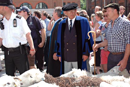 Sheep drive from Borough Market over the Millennium Bridge to Smithfield Market, London Biennale, 17th June 2006 