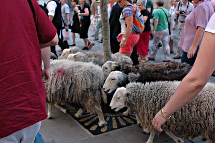 Sheep drive from Borough Market over the Millennium Bridge to Smithfield Market, London Biennale, 17th June 2006 