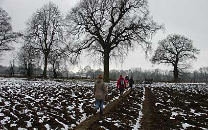 Crossing the field, Otford country walk, Kent