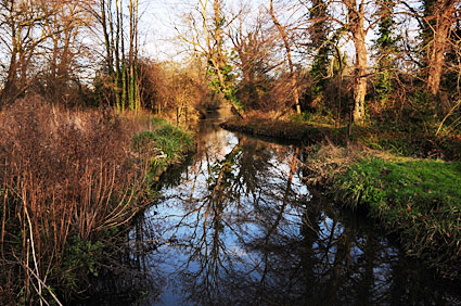 Morden Hall Park to Colliers Wood Walk by the River Wandle, Merton, London