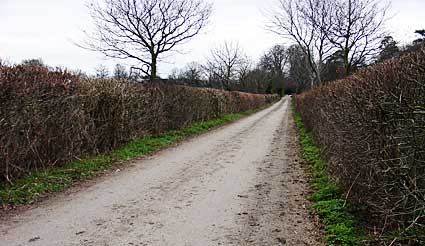 Muddy track, Osterley park, Osterley, west London, England