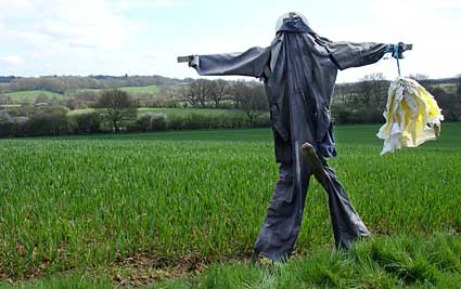 Scarecrow, Robertsbridge walk, Sussex