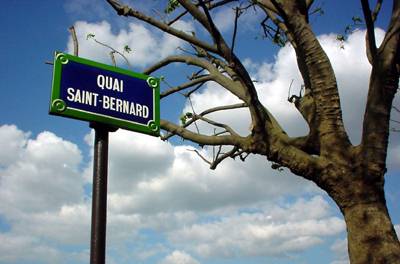 Street sign, tree, sky, Paris