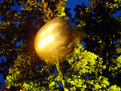 Mirror ball against a tree, Big Chill