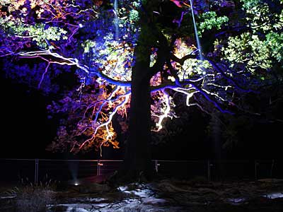On the art trail - illuminated tree with waterfall, Big Chill festival, Eastnor Castle, Ledbury, Herefordshire, England UK