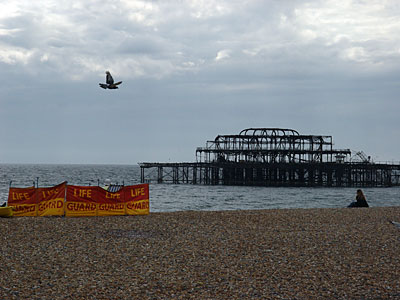 Lifeguards, seagull and the West Pier, Brighton, East Sussex