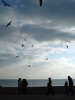 Seagulls and chips, Brighton beach