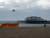 West Pier seagull Brighton