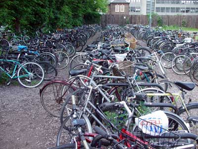 Bicycles galore!