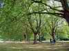Jesus Green  Cambridge