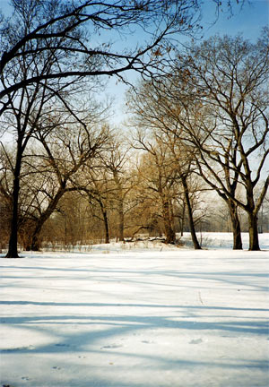 Washington Park, snow