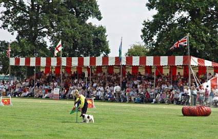 Heckington Agricultural Show with horses, camels, donkeys and marching bands, Lincolnshire, England