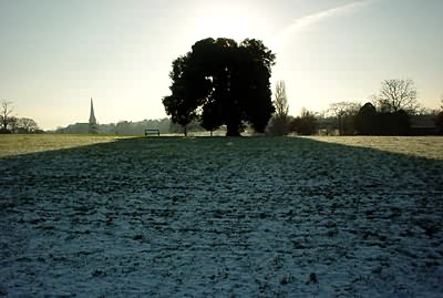 Brockwell Park, snow and tree, Herne Hill, Brixton, London