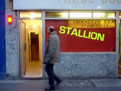 Stallion sex shop