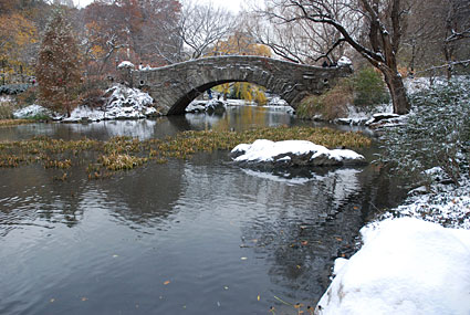 New York: Central Park in the snow