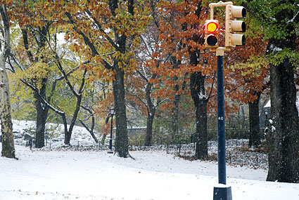 New York: Central Park in the snow