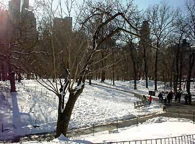 winter sunlight in Central Park
