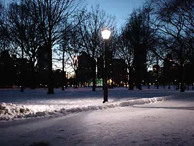 Snow and lamp, Central Park