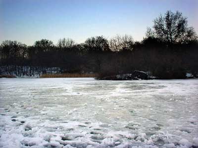 Frozen Lake, Central Park, Manhattan, New York