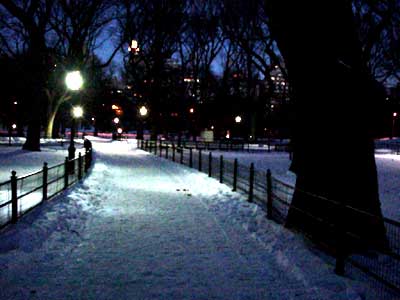 Snow covered path, Central Park, Manhattan, New York