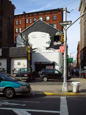 Street Art, Prince Street and Lafayette Street, SoHo, Manhattan, New York