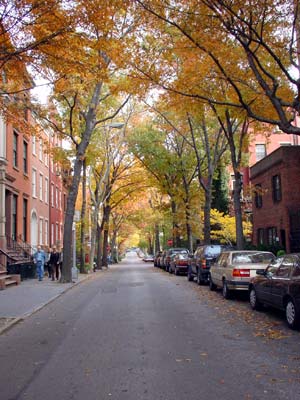 Cranberry Street, Brooklyn Heights, Brooklyn, New York