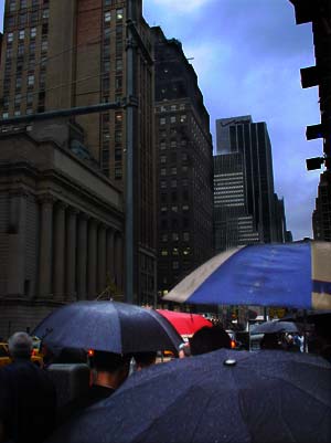 Umbrellas on 6th Avenue, 6th Avenue, Midtown, Manhattan, New York
