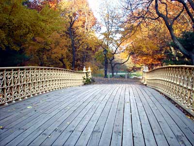 Cedar Bridge, Central Park, Manhattan, New York