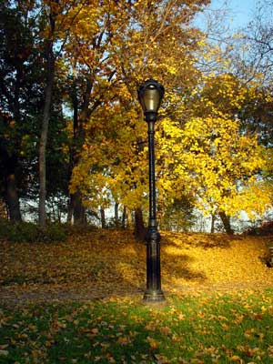 Lamp post and autumnal trees, Central Park, Manhattan, New York