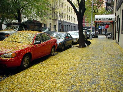 Autumn in the city, Manhattan, New York