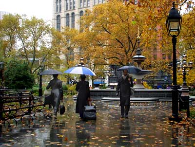 Umbrellas in the park, City Hall Park, lower Manhattan, New York