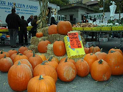 Pumpkins Galore! Union Square Green market, farmer's market,  Midtown, Manhattan, New York, NYC, USA