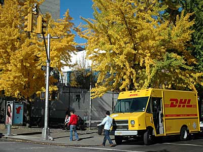 Yellow everywhere! Greenwich Village, Manhattan, New York, NYC, USA