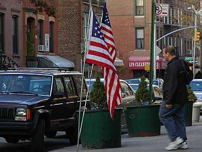 American Flags, Henry Street, Cobble Hill, Brooklyn, New York, USA