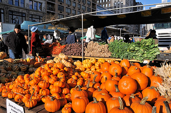 Photos of the Union Square Greenmarket, a farmers' market in the heart of Manhattan, New York, NYC