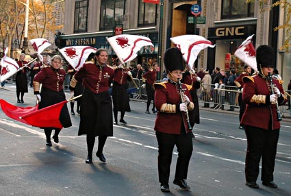 Nation's Parade, Veteran's Day Parade, 5th Avenue, Manhattan, New York, NYC, November 2005