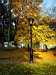 Lamp post and autumnal trees