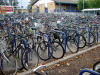 Bicycles galore